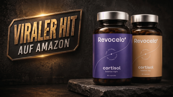 Équilibre du cortisol jour et nuit