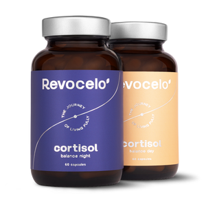 Équilibre du cortisol jour et nuit