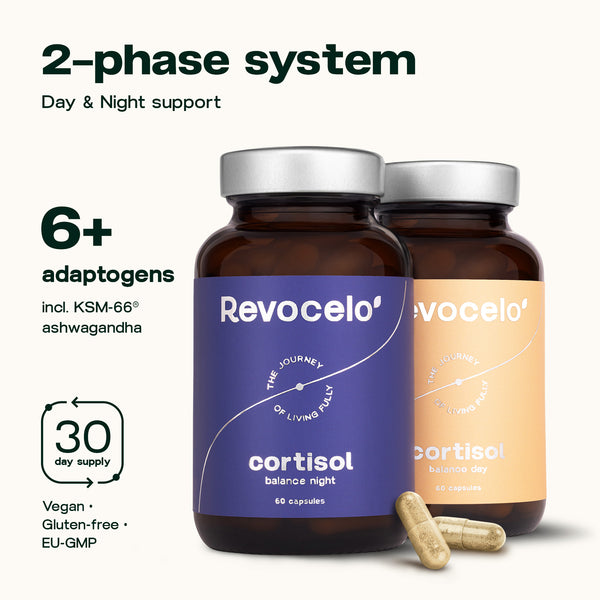 Équilibre du cortisol jour et nuit