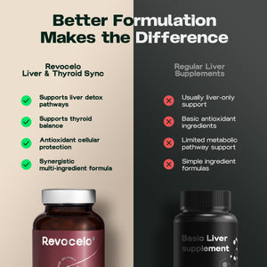 Liver & Thyroid Sync 3 Pack
