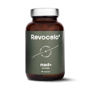 Synergie NAD+