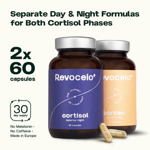 Équilibre du cortisol jour et nuit
