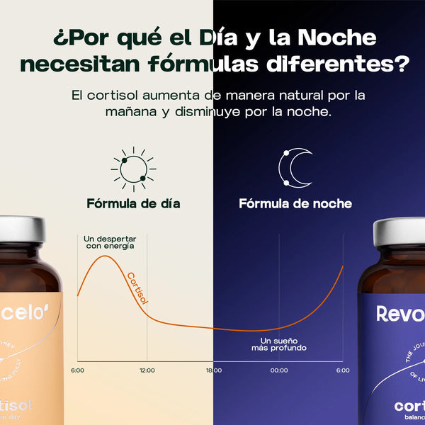 Équilibre du cortisol jour et nuit