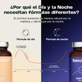 Équilibre du cortisol jour et nuit